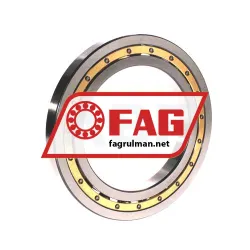 FAG 16024-C4 rulman resim 2