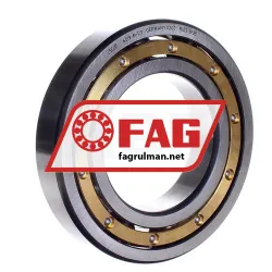 FAG 6219-M-C3