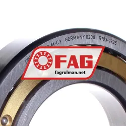 FAG 6219-M-C3 rulman resim 2