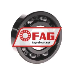 FAG 6309-RSR rulman resim 2