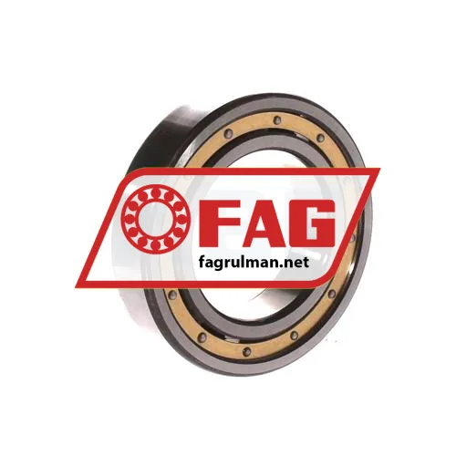 FAG 6008-MA-C3 ürün fotoğrafı 2