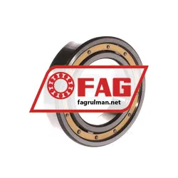 FAG 6008-MA-C3 rulman resim 2
