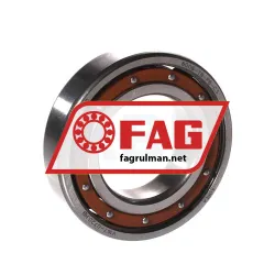 FAG 6006-TB-P6-C3