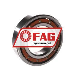 FAG 6006-TB-P6-C3 rulman resim 2