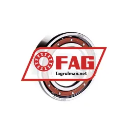 FAG 6006-TB