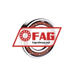 FAG 6006-TB rulman resim 2