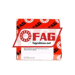 FAG 6006-TB rulman resim 3