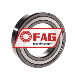 FAG 6009-2Z-C3