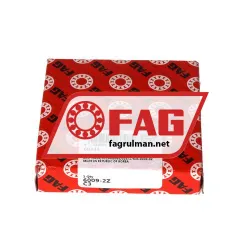 FAG 6009-2Z-C3 rulman resim 3