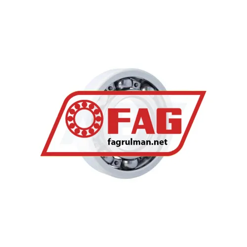 FAG 6317-J20AA-C4