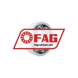 FAG 6317-J20AA-C4 rulman resim 2