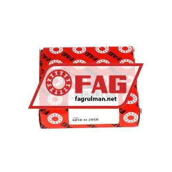 FAG 6010-H-2RSR rulman resim 3