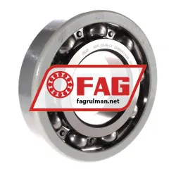 FAG 6319-J20AB-C3