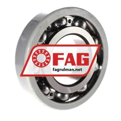 FAG 6319-J20AB-C3 rulman resim 2