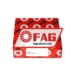 FAG 6311-C-N rulman resim 4