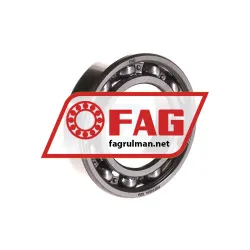 FAG 6007-C3