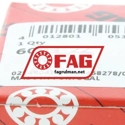 FAG 6003-2Z rulman resim 6