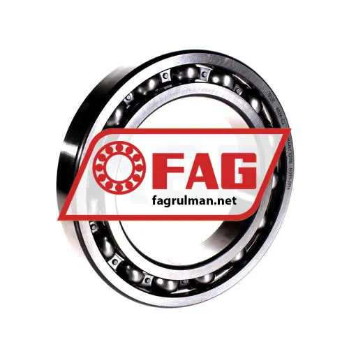 FAG 6026-C2