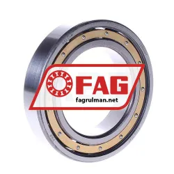 FAG 6011-M