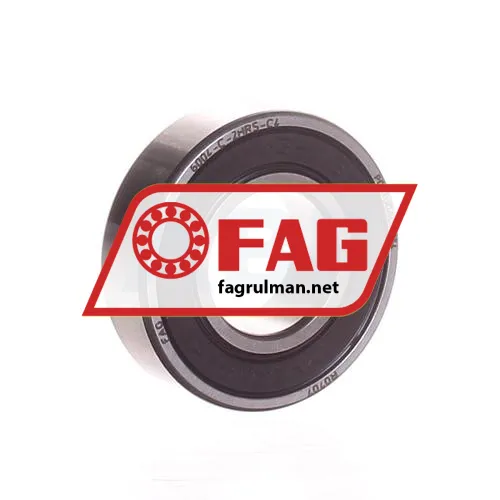 FAG 6004-C-2HRS-C4