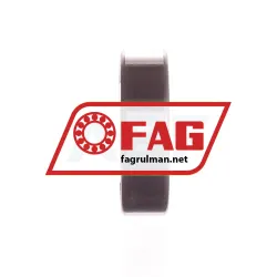FAG 6004-C-2HRS-C4 rulman resim 2