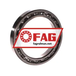 FAG 61916