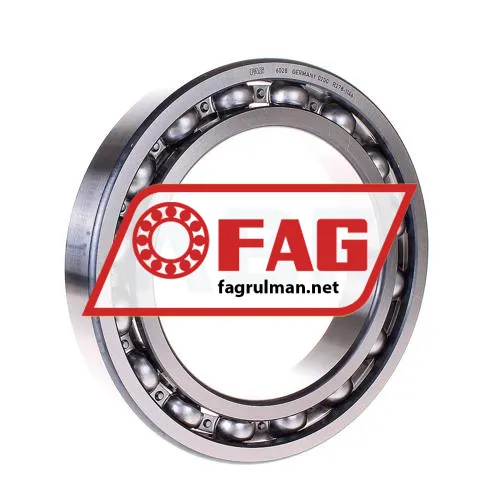 FAG 6028
