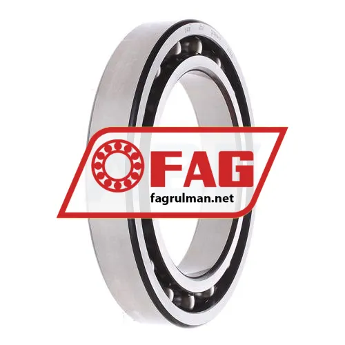 FAG 6028 ürün fotoğrafı 2