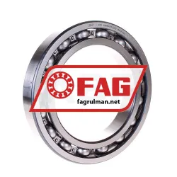 FAG 6028