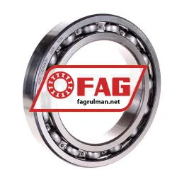 FAG 6020