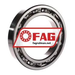 FAG 6020 rulman resim 2