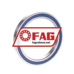 FAG 61810-2RZ-Y