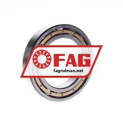 FAG 6014-M-C3