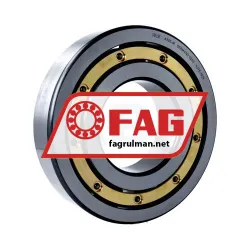FAG 6320-M