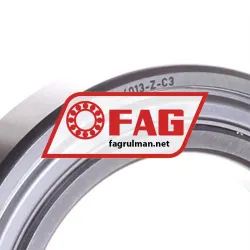 FAG 6013-Z-C3 rulman resim 2