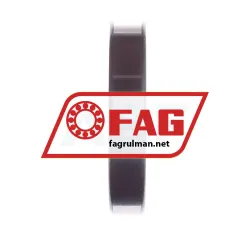 FAG 6013-Z-C3 rulman resim 4