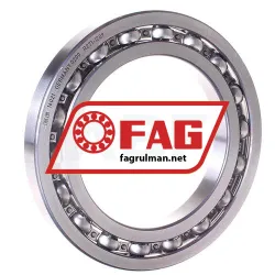 FAG 16021