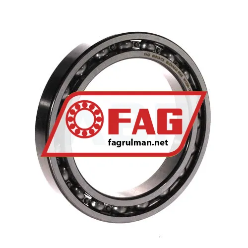 FAG 61918-C3