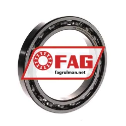FAG 61918-C3