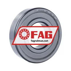 FAG 6313-2Z-C4