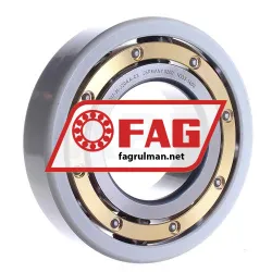 FAG 6317-M-J20AA-C3