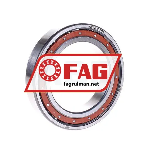 FAG 6013-TB-P6-C3
