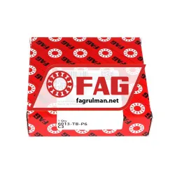 FAG 6013-TB-P6-C3 rulman resim 2