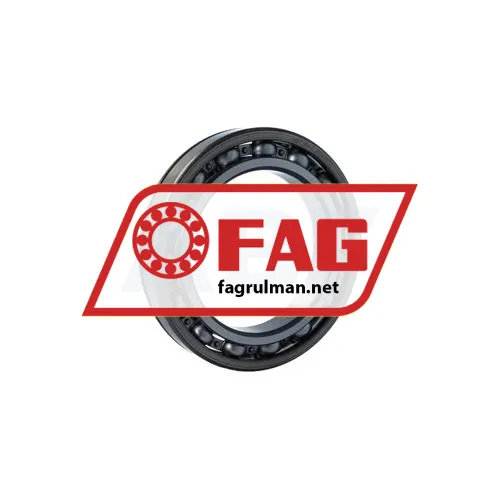 FAG 6024-N