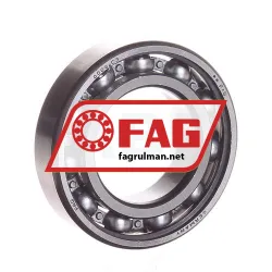 FAG 6006-C3