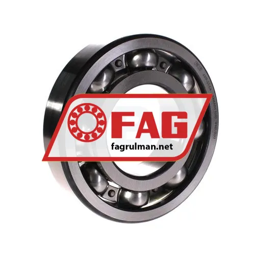 FAG 6317-S1-C4