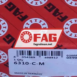 FAG 6310-C-M rulman resim 5