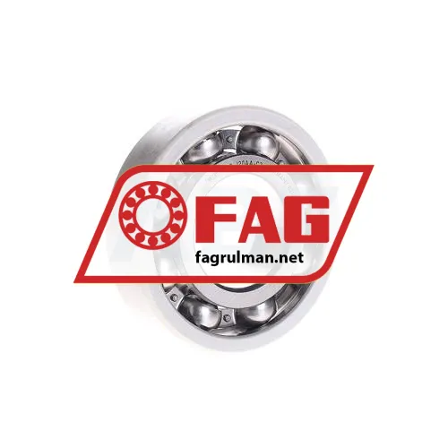 FAG 6309-J20AA-C3