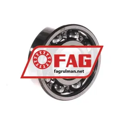 FAG 6306-C