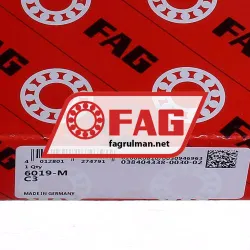 FAG 6019-M-C3 rulman resim 5
